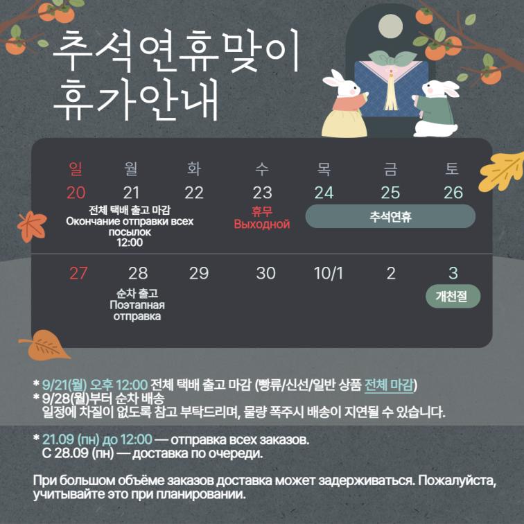 팝업